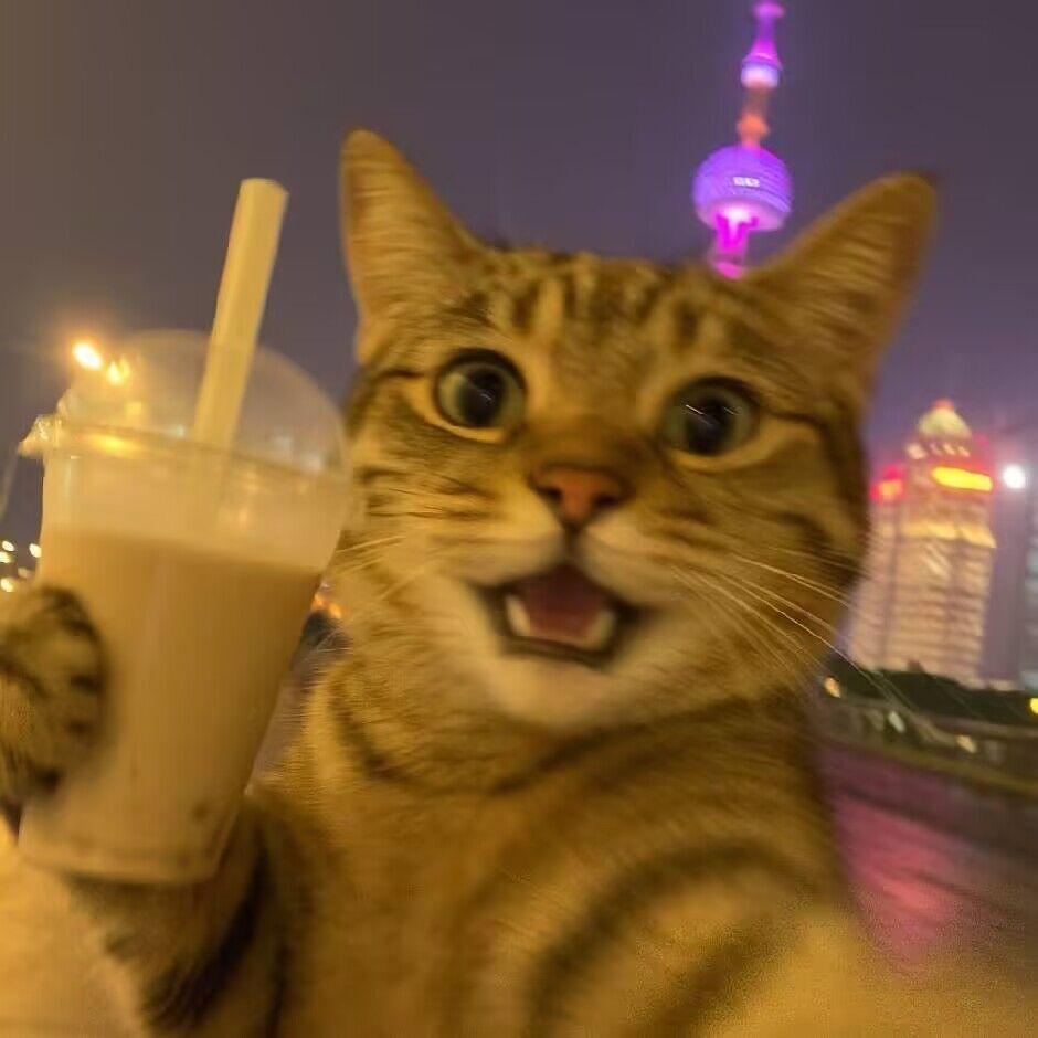 想出去玩会好运连连