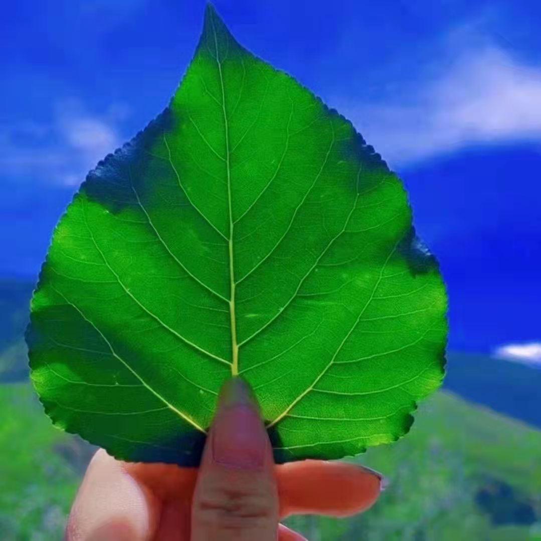 ཁེར་xརྐྱང་