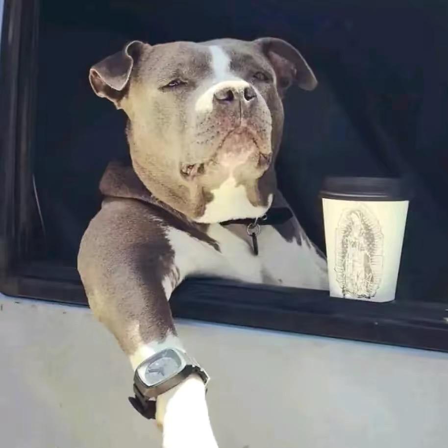 小福蝶（昆明斗南鲜花批发）代购