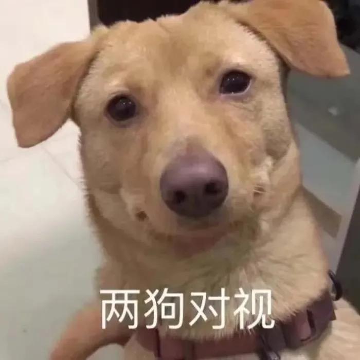 你快去学习吧！