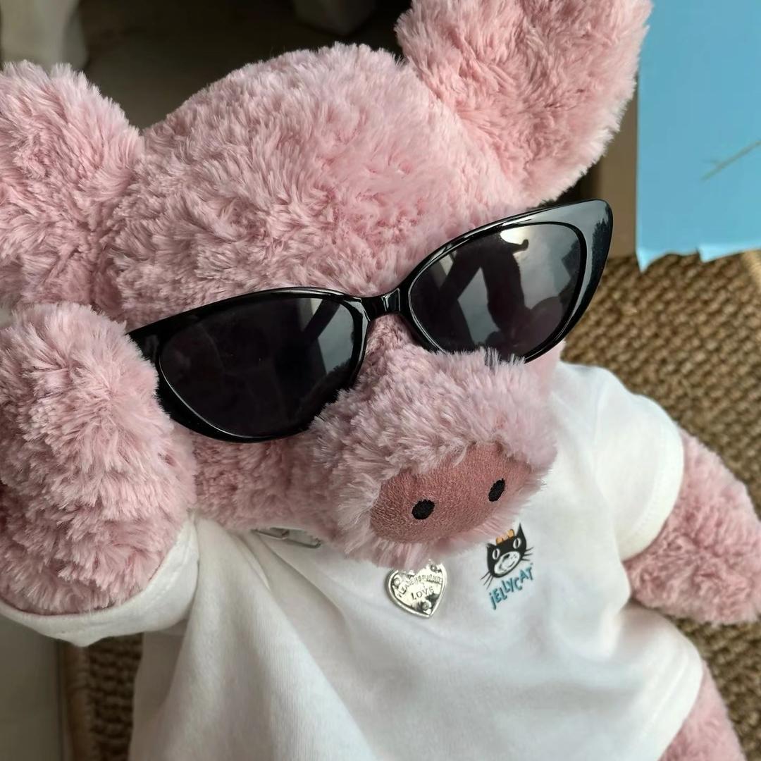 嗷嗷猪🐷