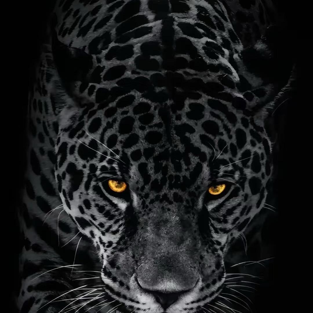 山丘上的草莓花