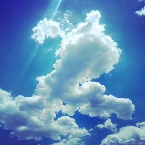 山清水秀太阳高