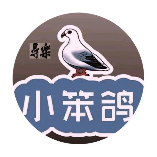 小笨鸽
