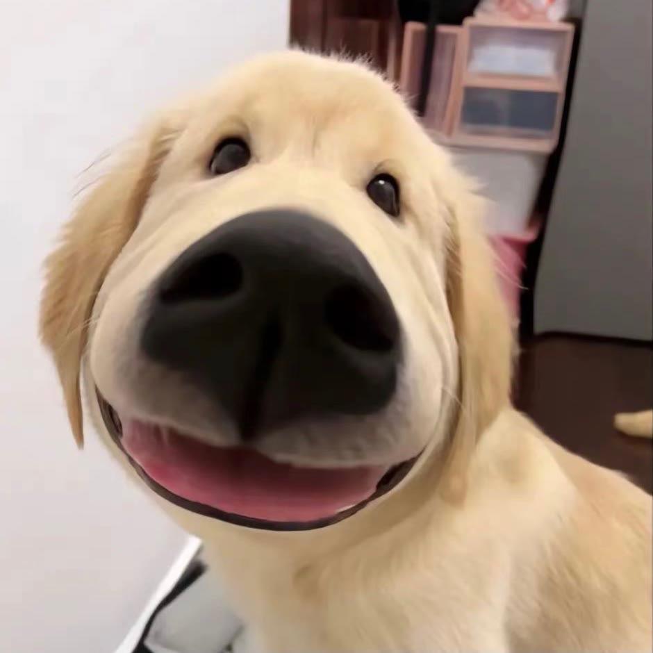 斤针菇