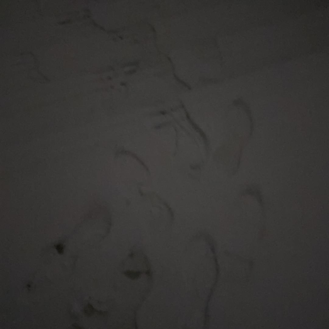 用户65865224536
