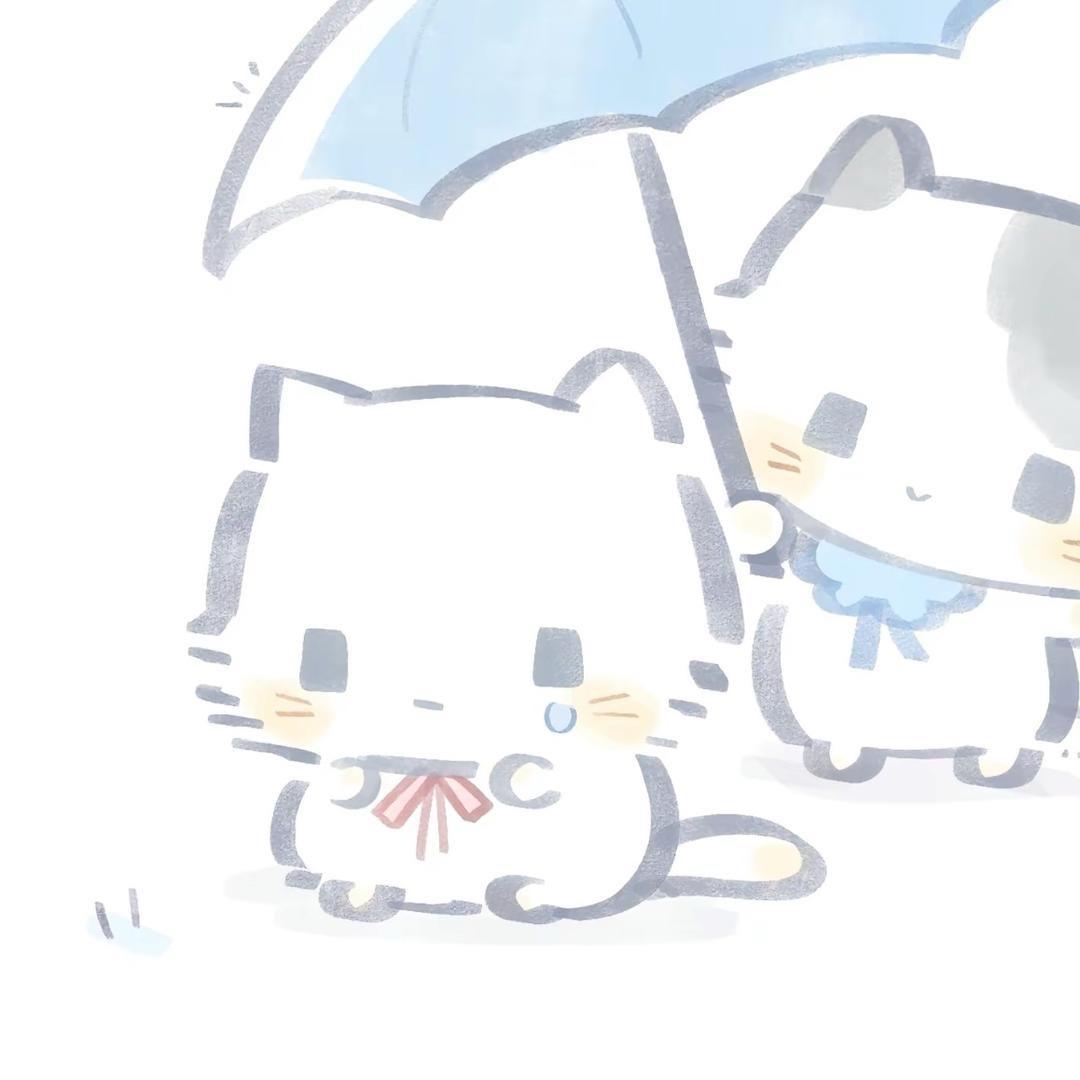 椰椰🐰