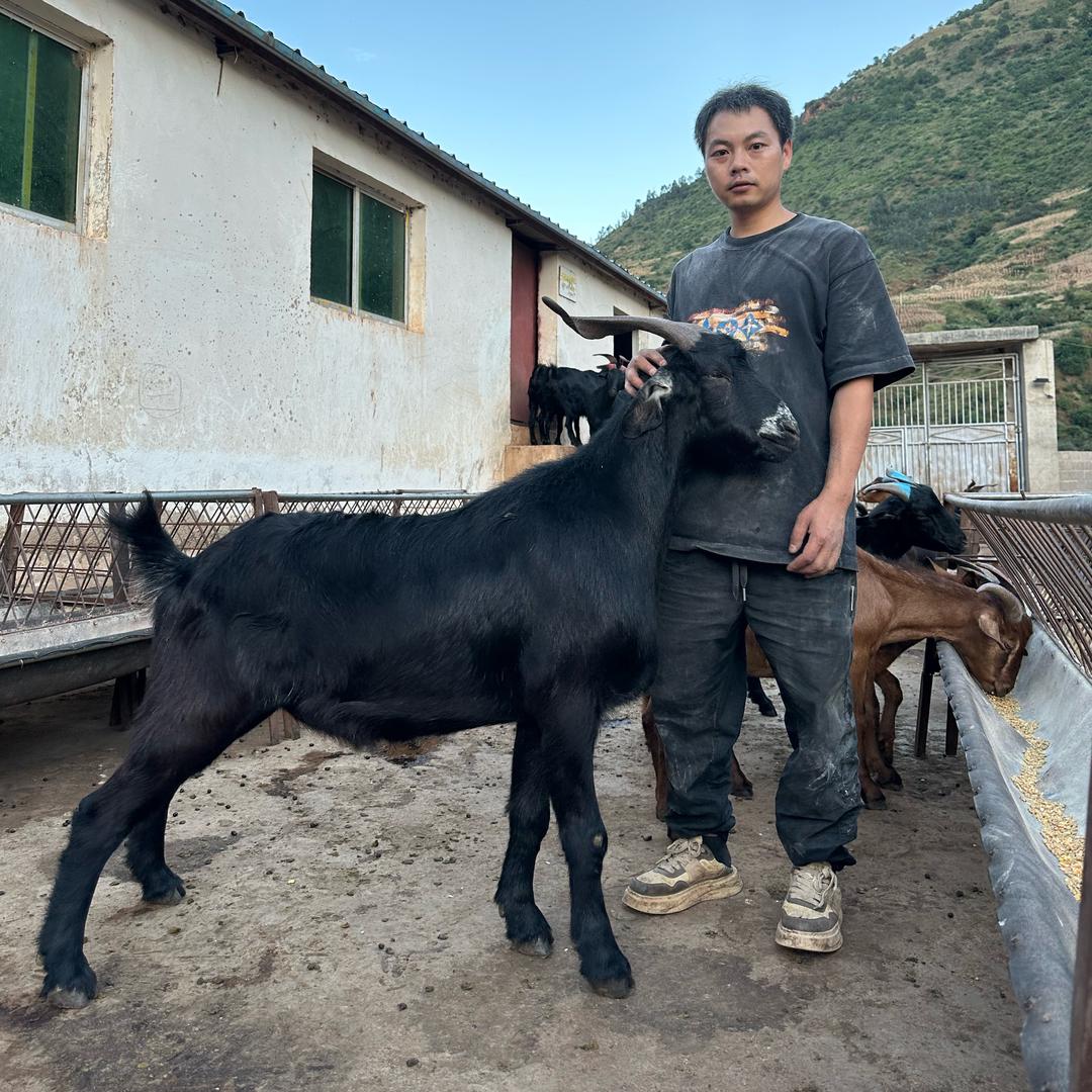 小田的创业之路