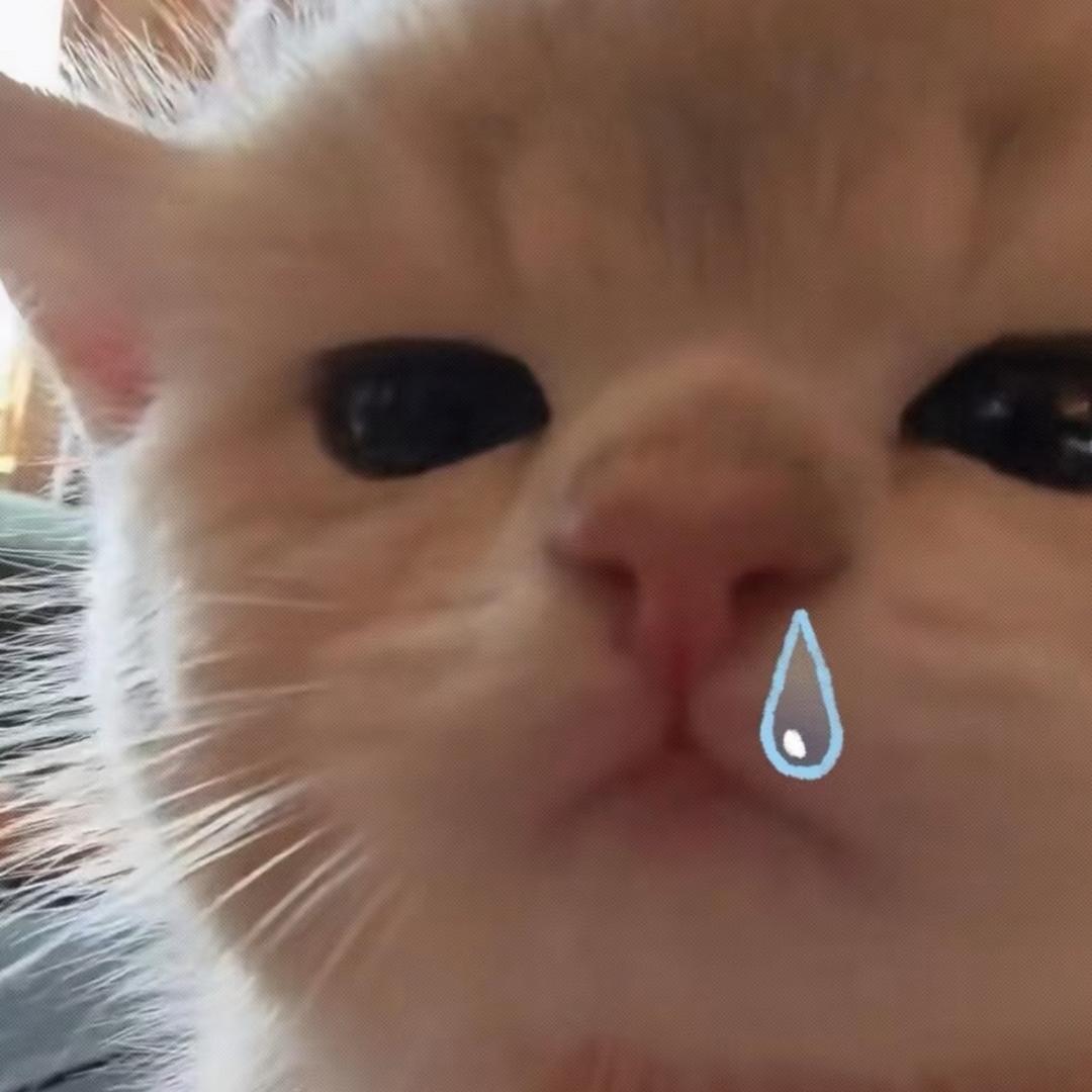 脑袋昏昏-