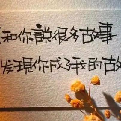 牛小牛