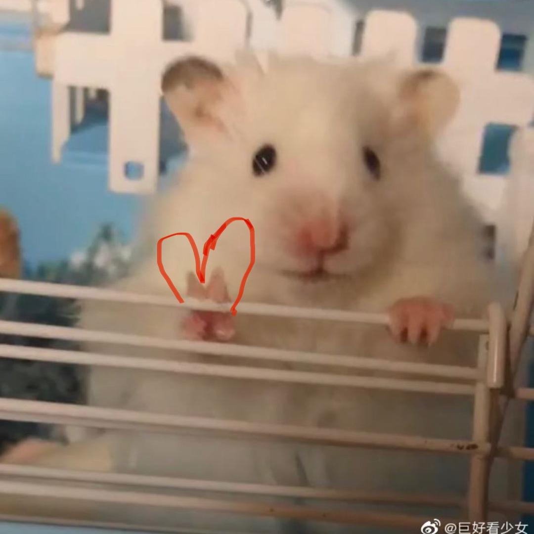 阿狒