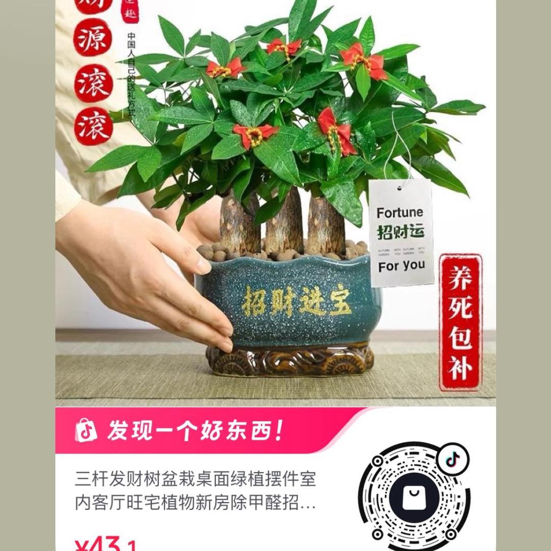 @是豆豆吖✨