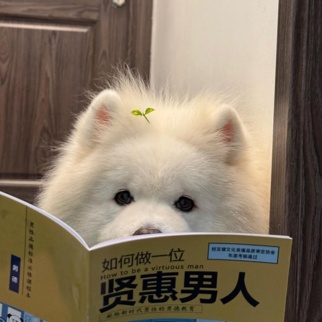 重生之我在帝都捣鼓东北麻辣烫