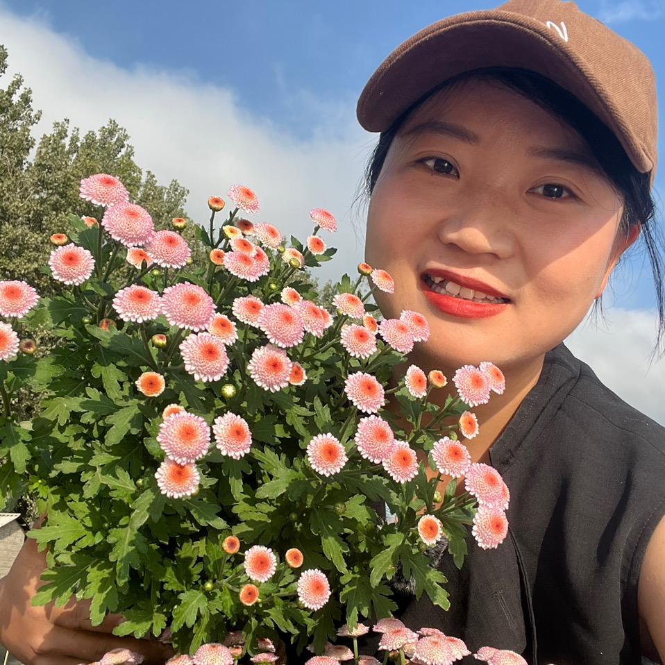 云花基地