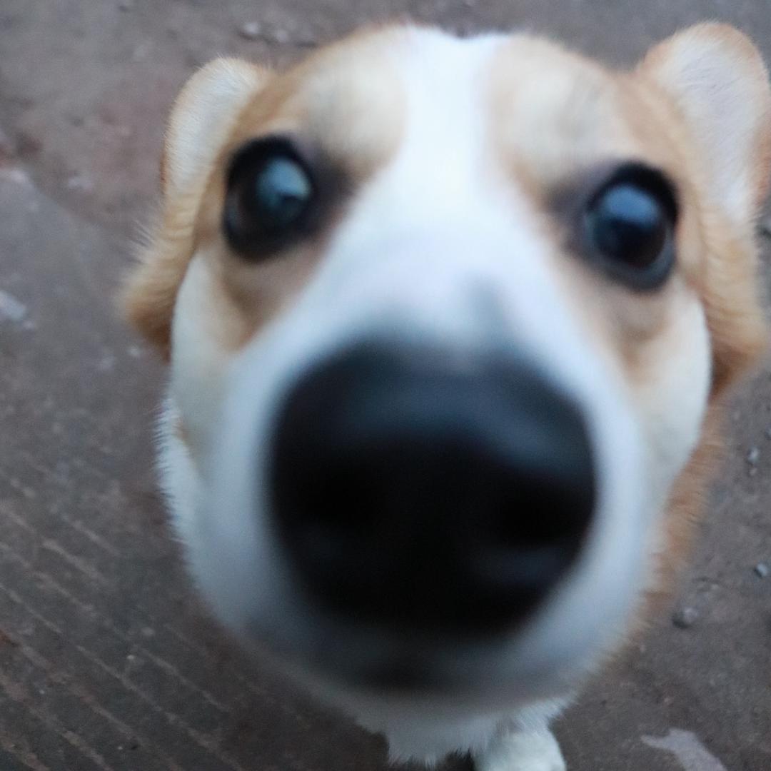 🌈记得笑呀👣