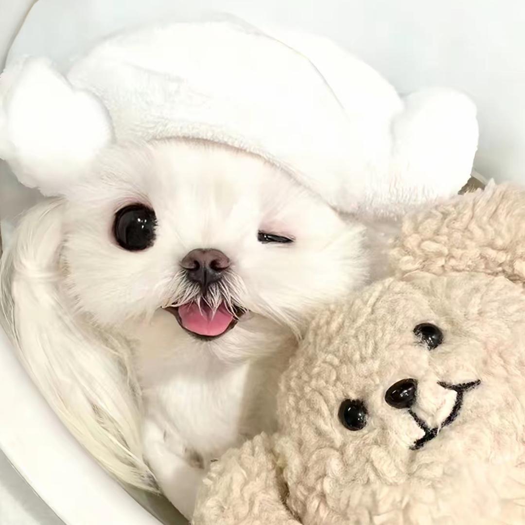 拥有两个可爱的小宝宝