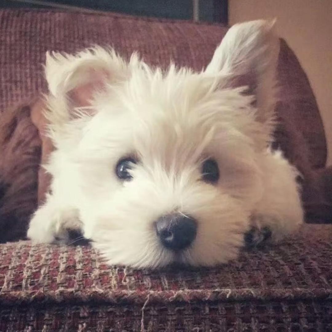 今天星期几…！