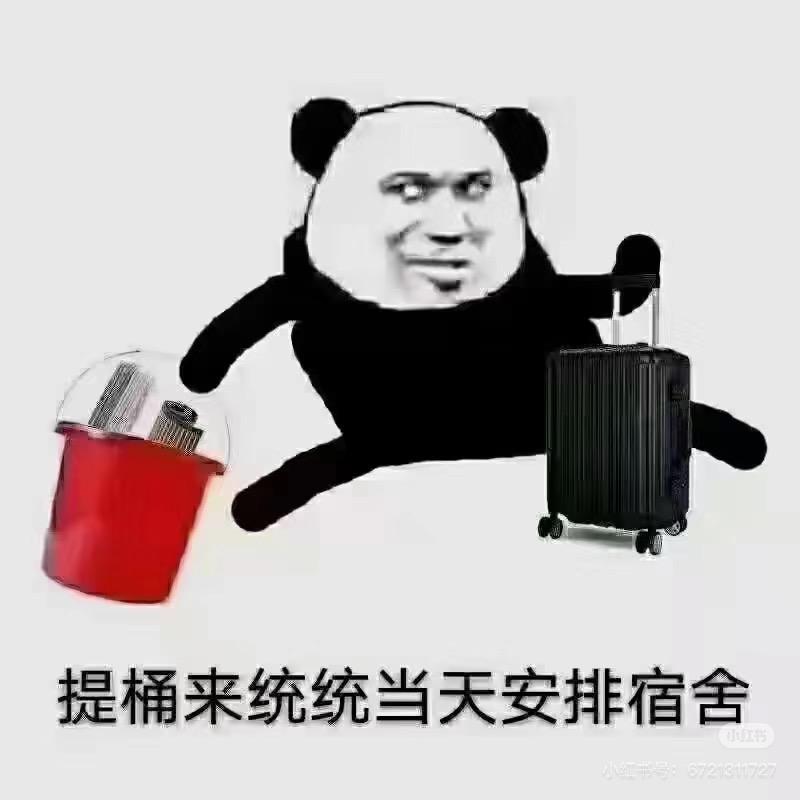 大龄工阿飞-瑞尔