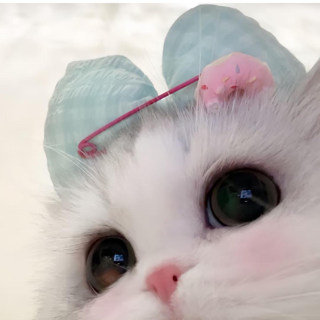 蒜蒜