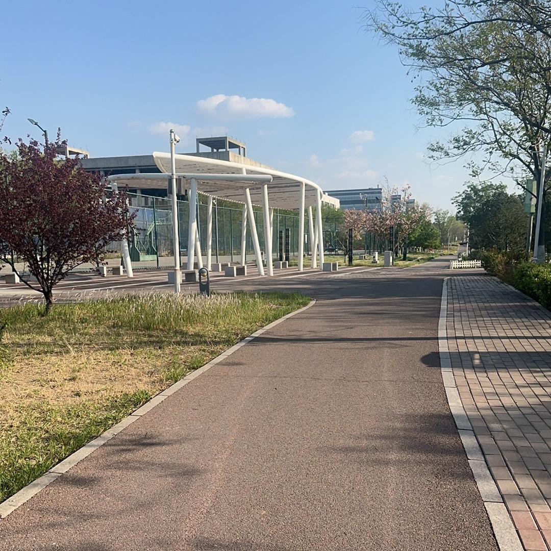 酸星星（身体健康万事顺意八方来财的婷婷）