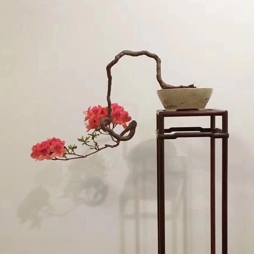 常怀梦想