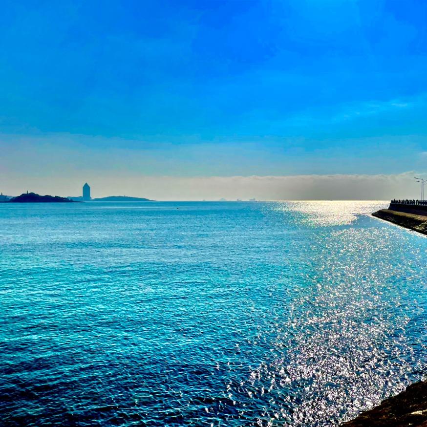 沣沣
