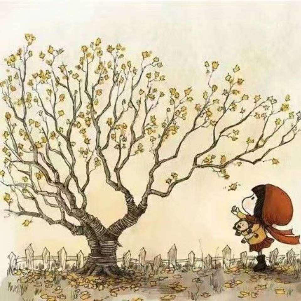 ❤❤余生有你🌹🌹