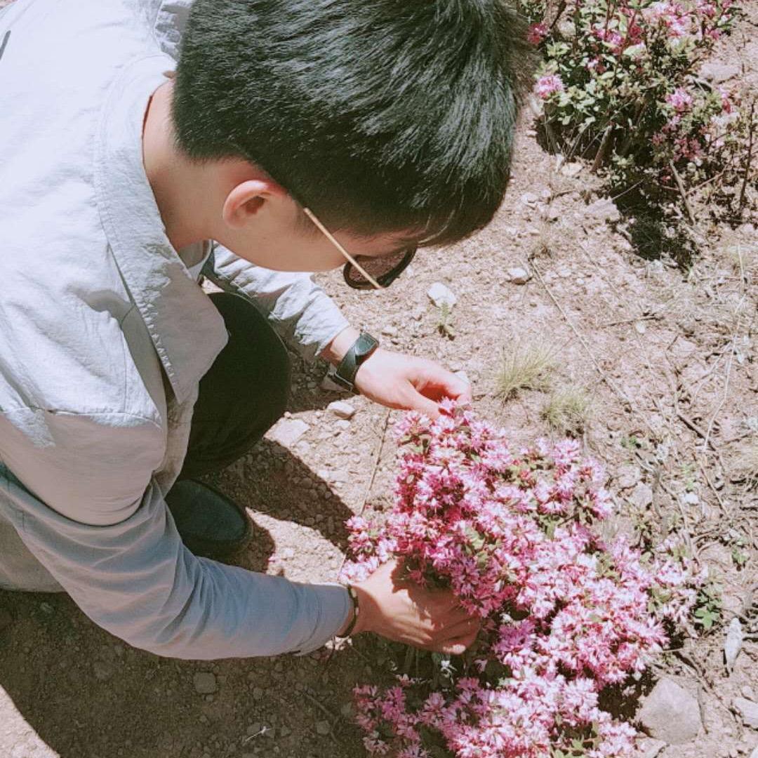 心悦君兮君不知