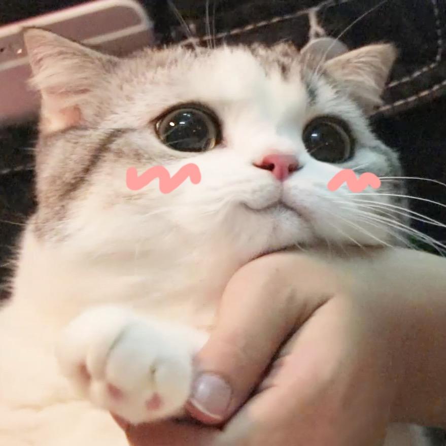 香香软软的小泡芙
