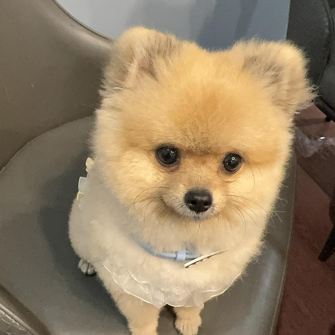 丹林机械有限公司