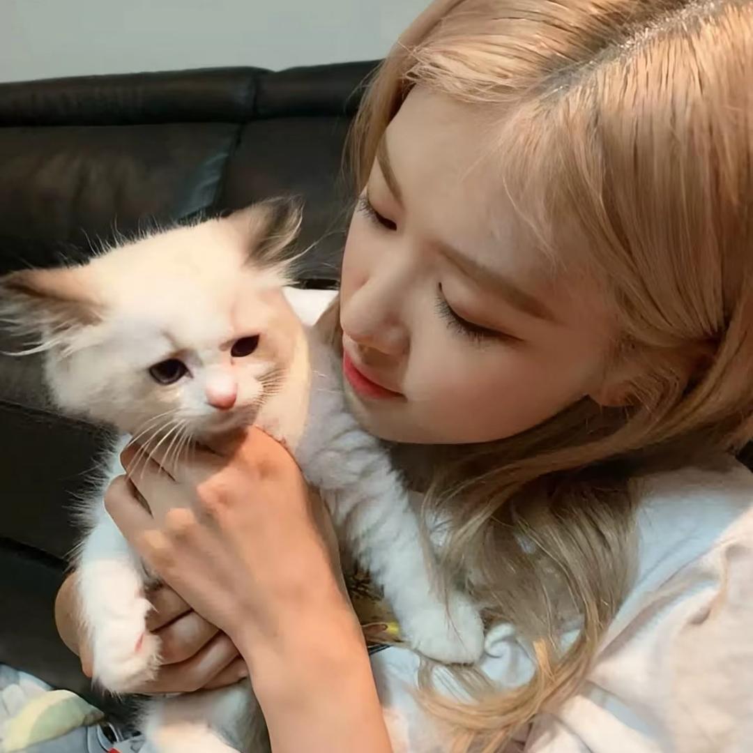 今天开始不熬 夜