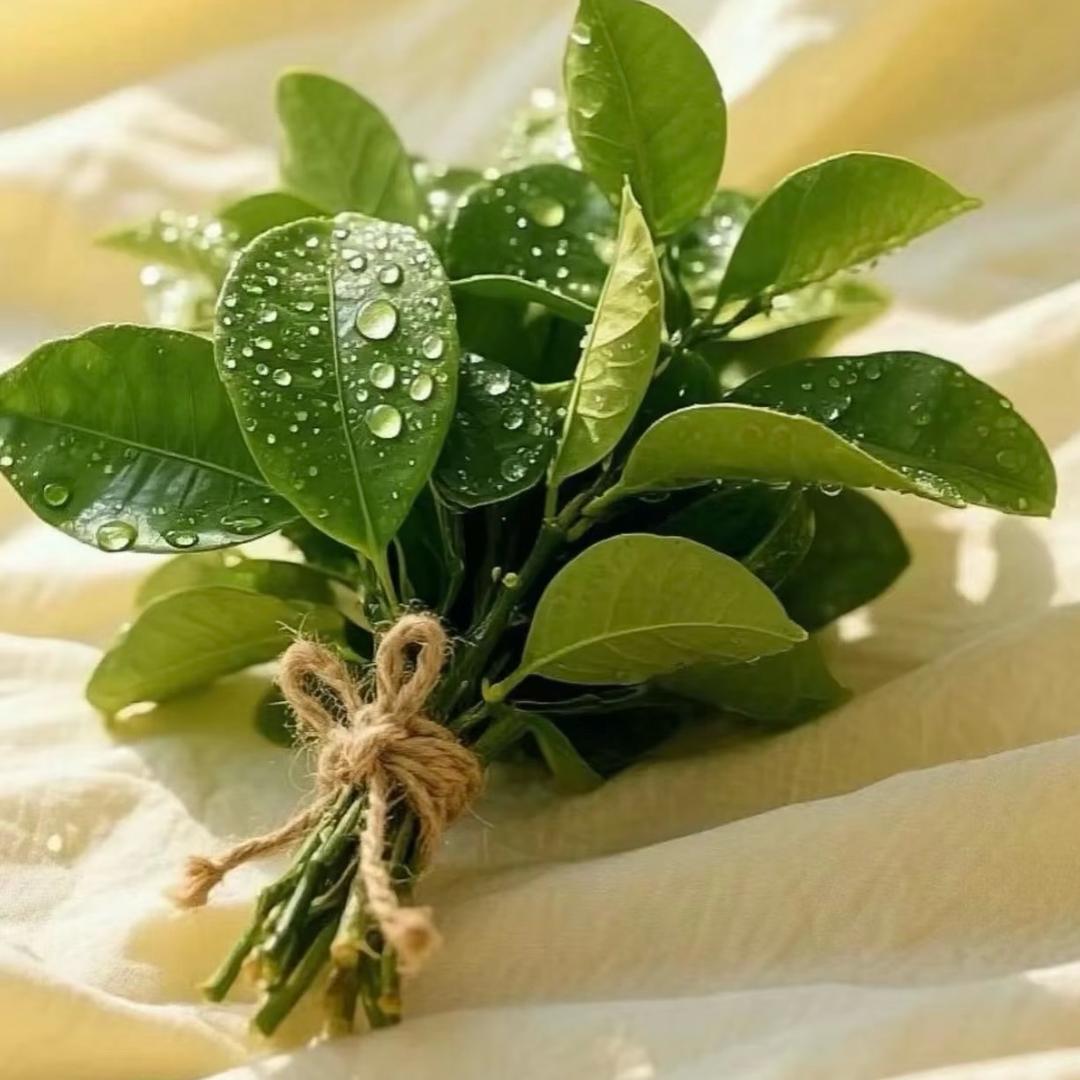 我有32间门面房