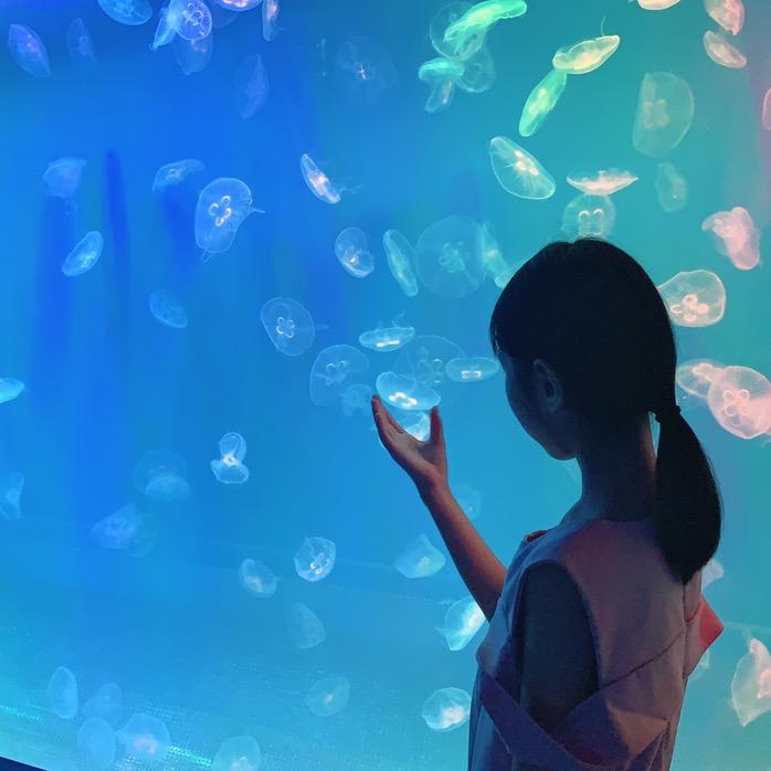 紫星星在福清