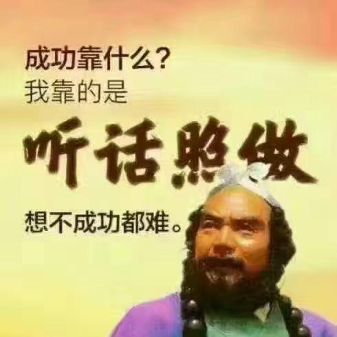 飞菲~好物