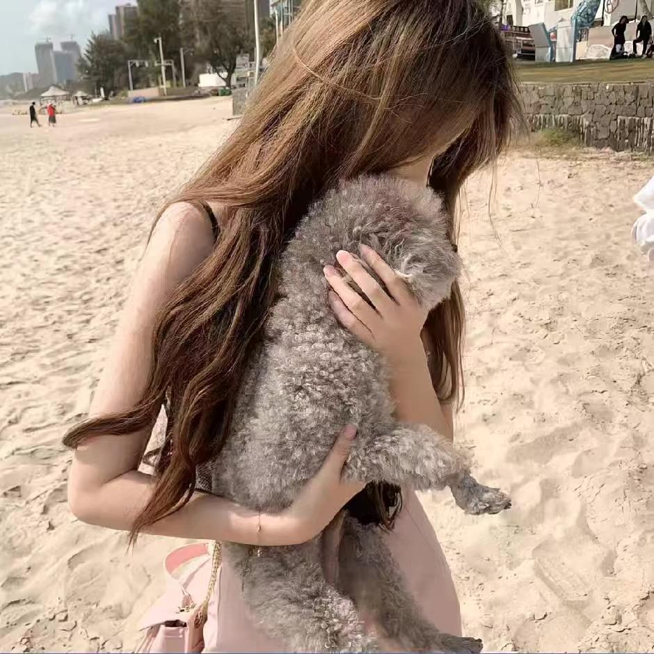 嘉怡