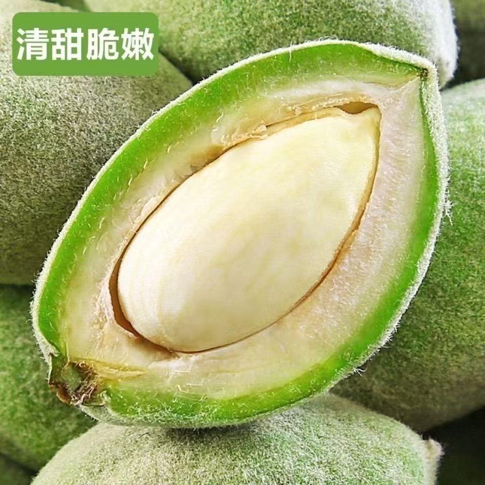 一田一果新疆鲜果