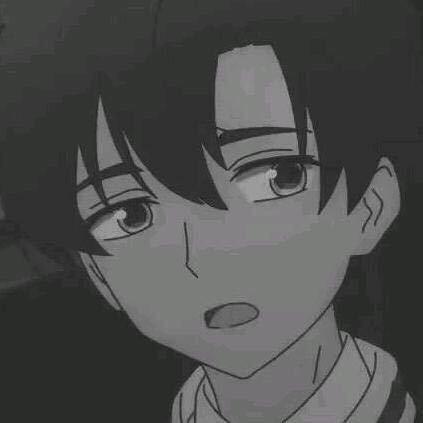 ZL