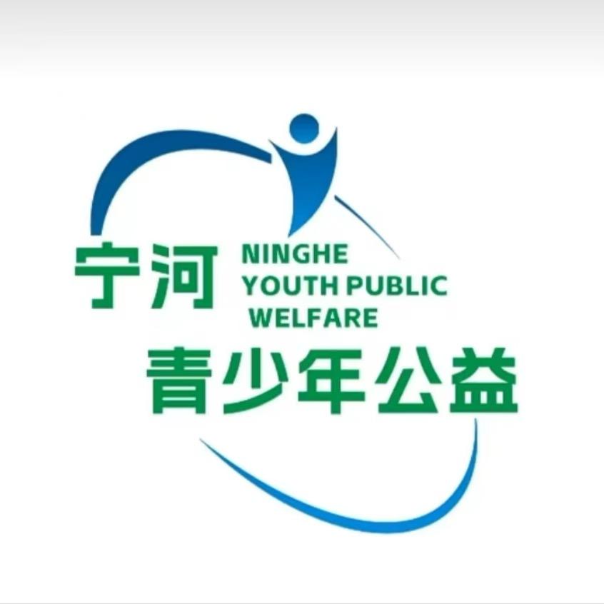 宁河青少年志愿服务李老师