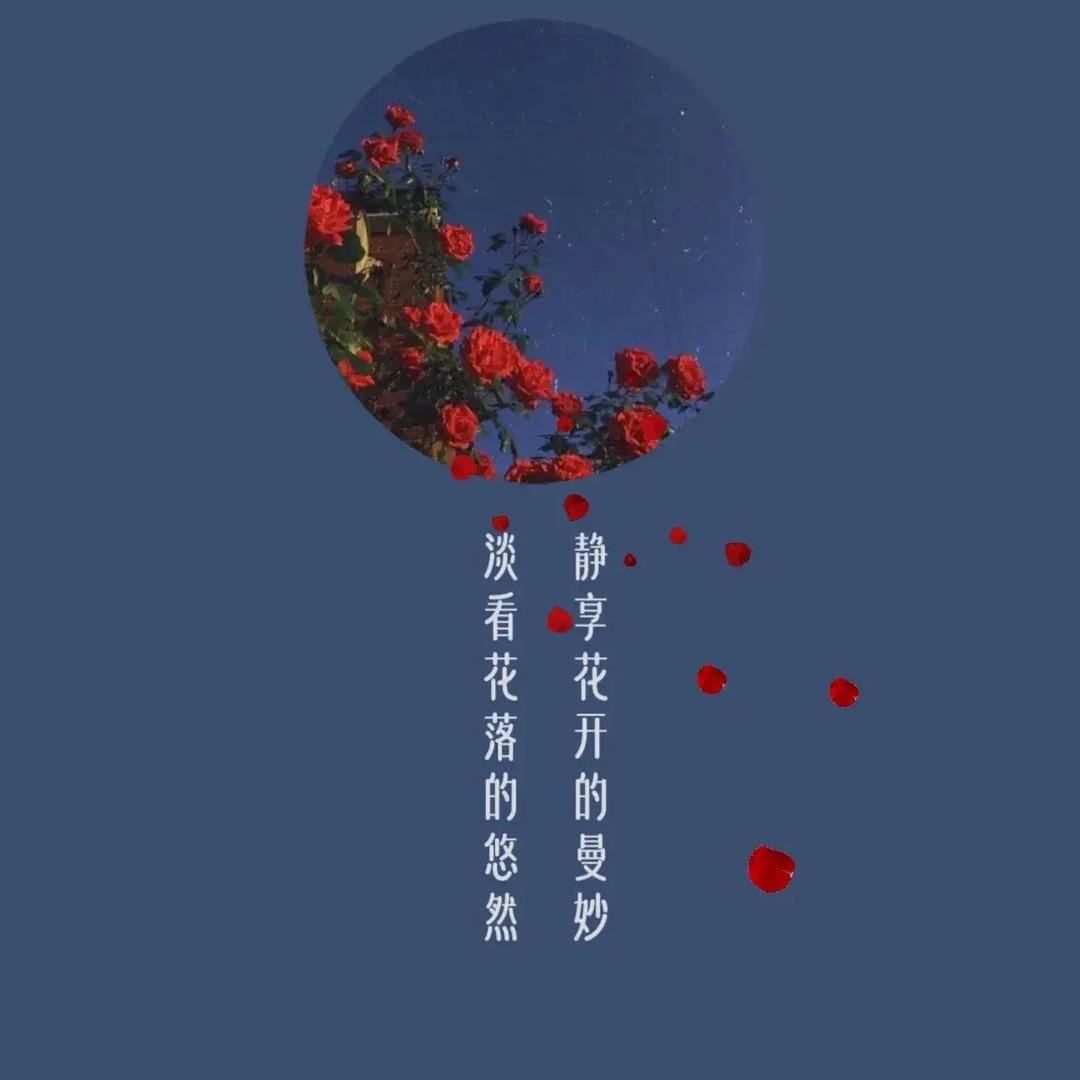 吾清欢