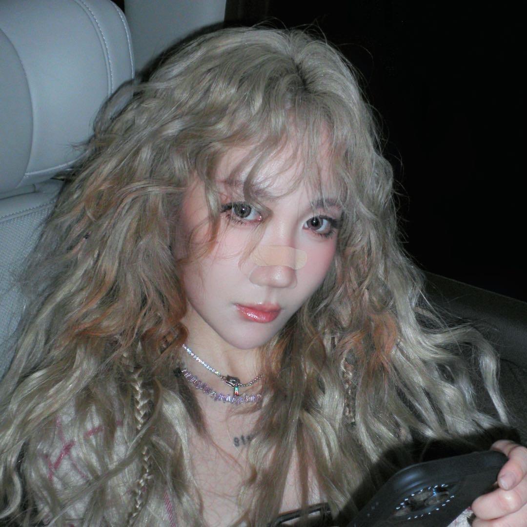 蛋挞睡个好觉zZ