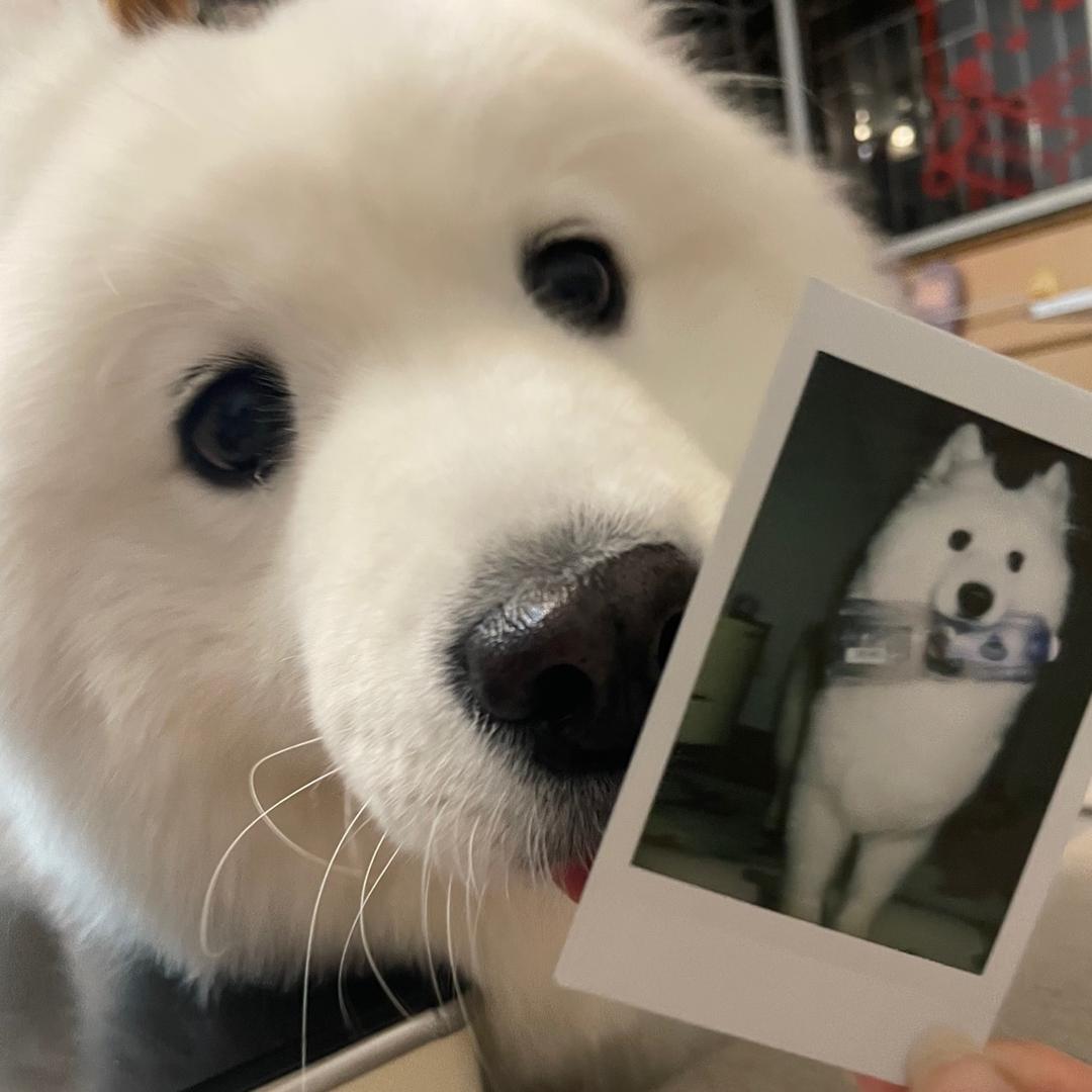 叫我烤冷面