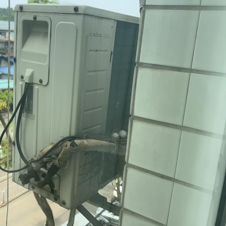 @随便拍拍