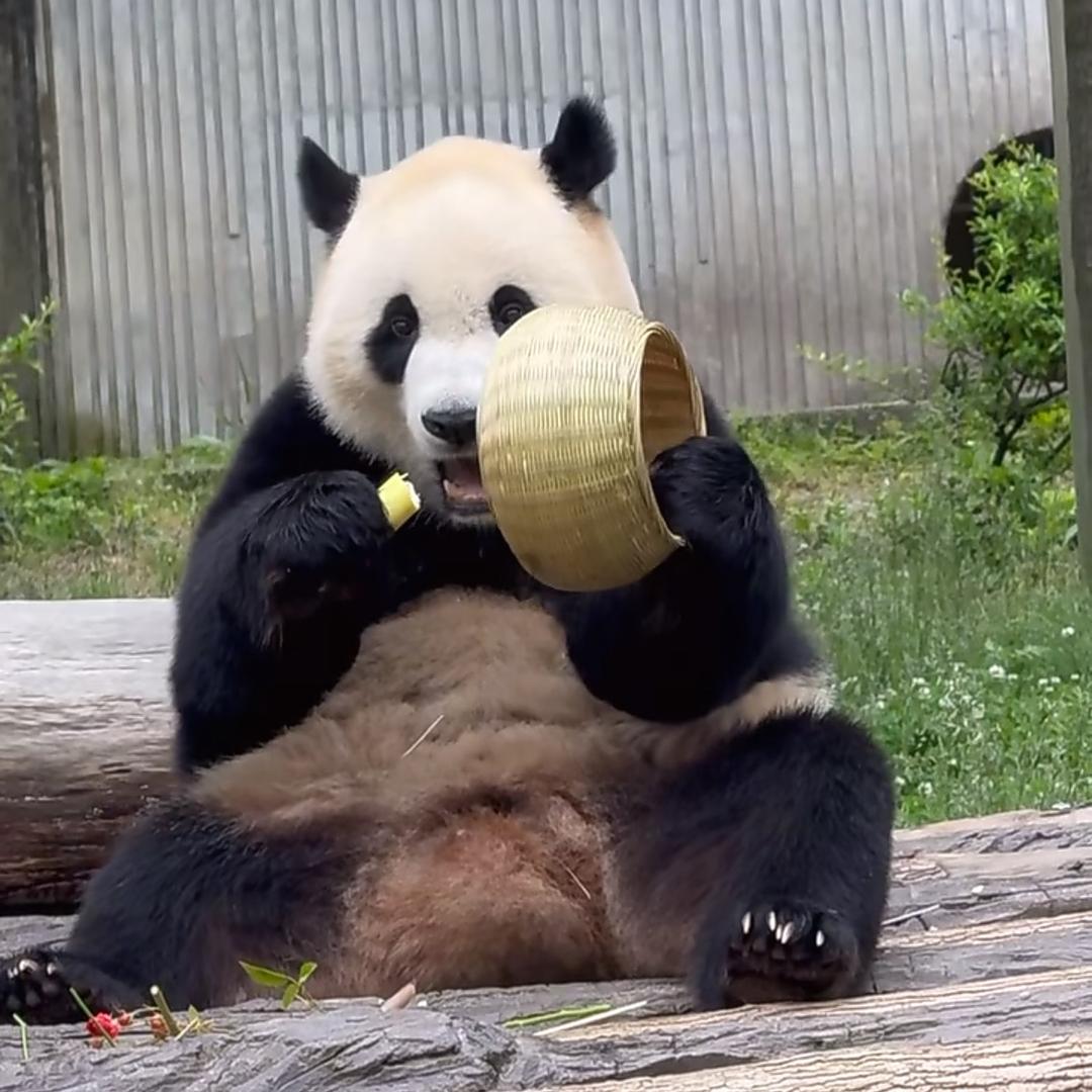 晨光