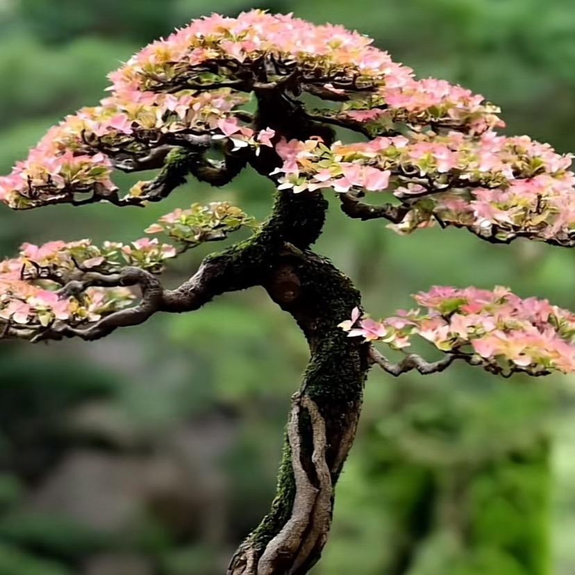 下坡路的虎子