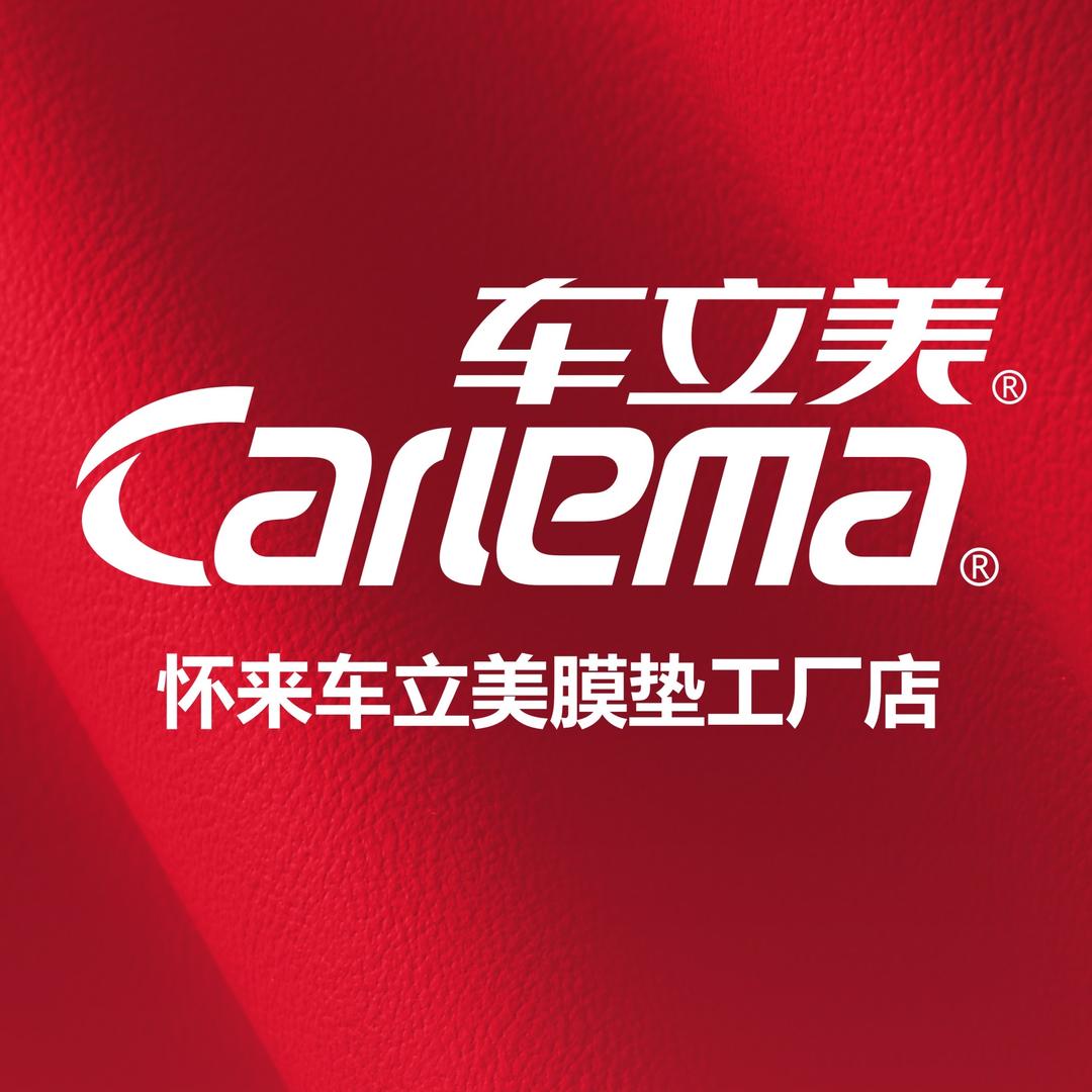 沙城汽车脚垫坐垫