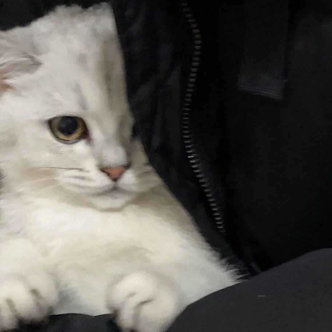 ▶  ||ı|ı||lıı 3＂