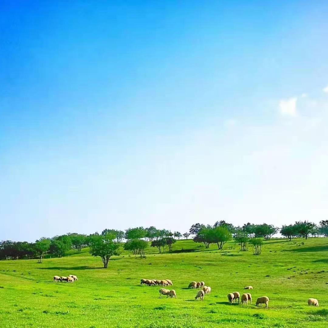 京北第一草原景区官方号
