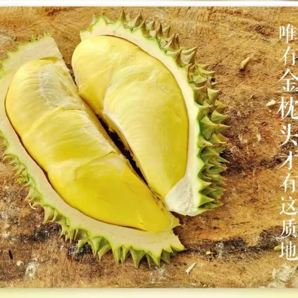 权氏精品水果供应链