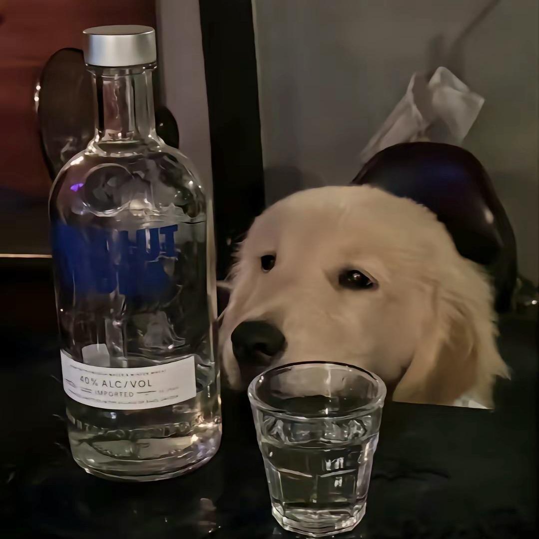 观