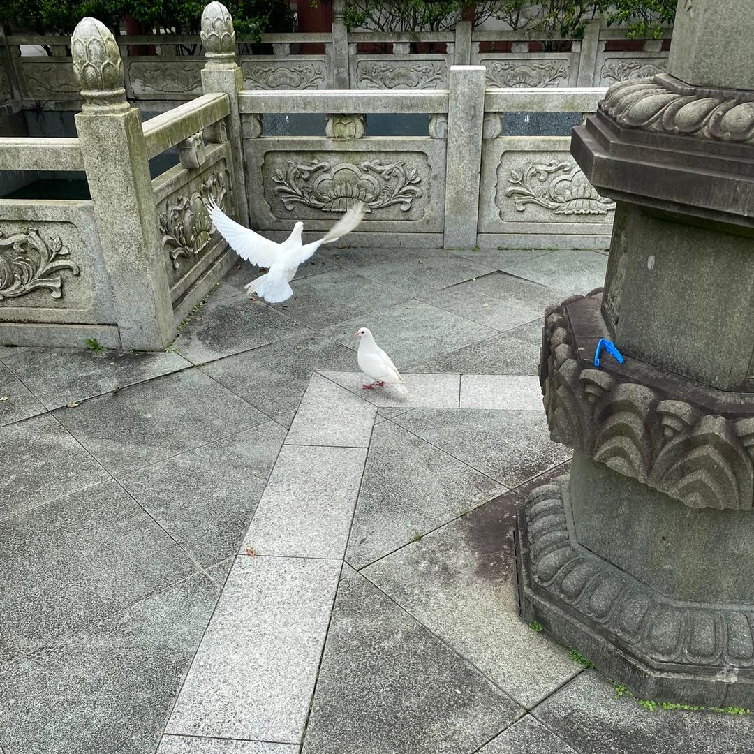 乡村农民工